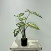 Vert-60cm