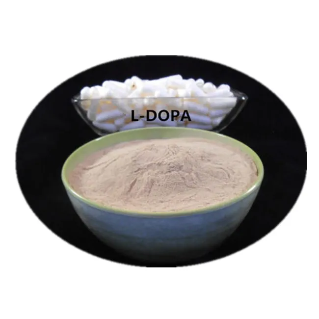 ZD L-Dopa порошок 99% хорошо для экстракта Паркинсона мукуны пруристой