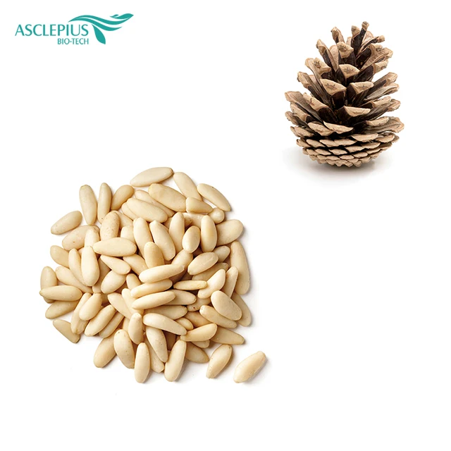 Top quality pine nut pakistan/pine nut kernels/pine nut  55USD including shipping for 1 bag  sample