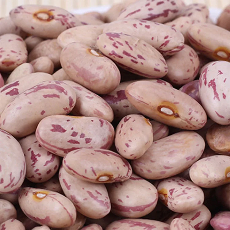 sugar beans hot sale newest crop speckled kidney beans light