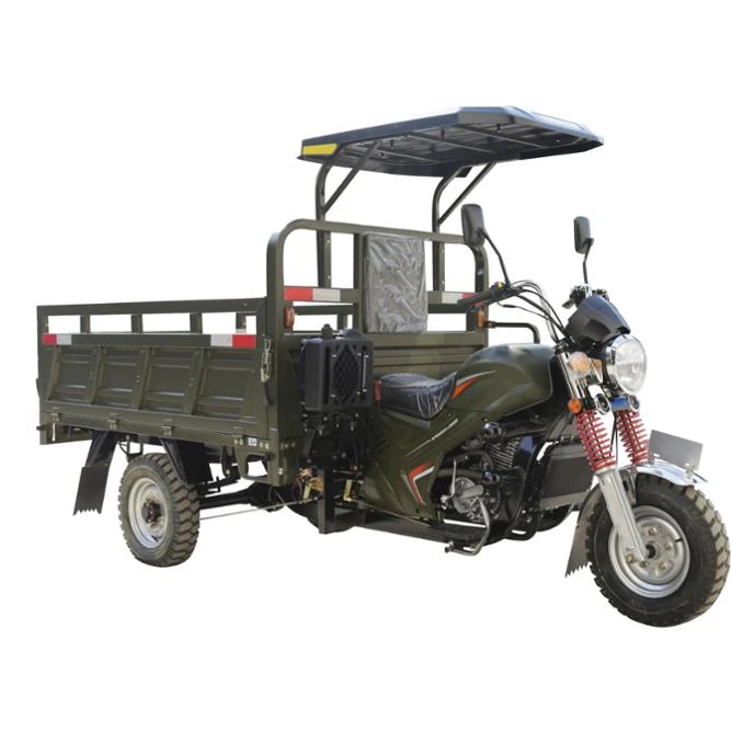 2018 250cc Motorcycle Open Motor Tricycle for Cargo and Passenger 200cc Engine EEC Certified