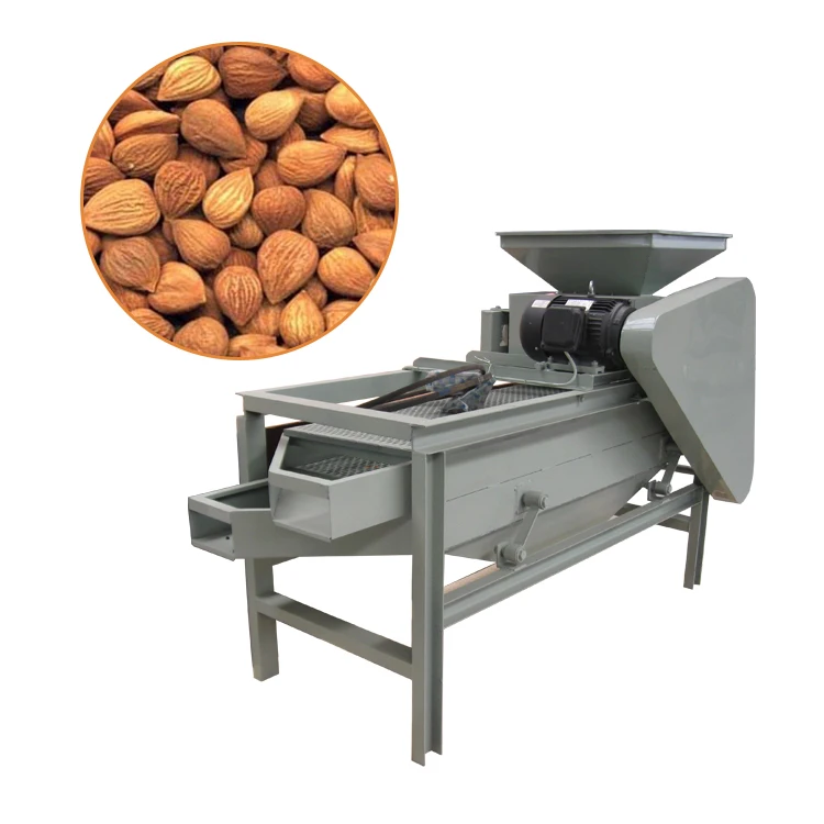 Hazelnut From Turkey Hazelnut Shell Removing Machine Palm Nut Shelling Machine