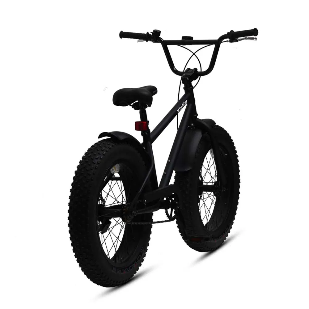 TXED 20 Inch BMX Style Fat Tire Bike for Kids - Cool & Durable