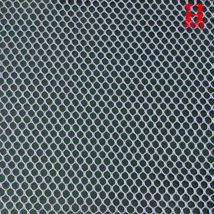 HG6157 Polyester Net Fabric Karachi for Finishing Net