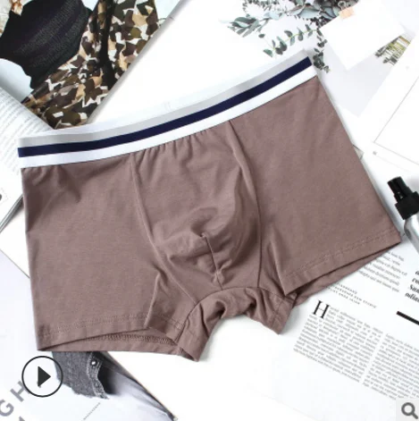 pack Boxer Briefs Short Legs Underwear 