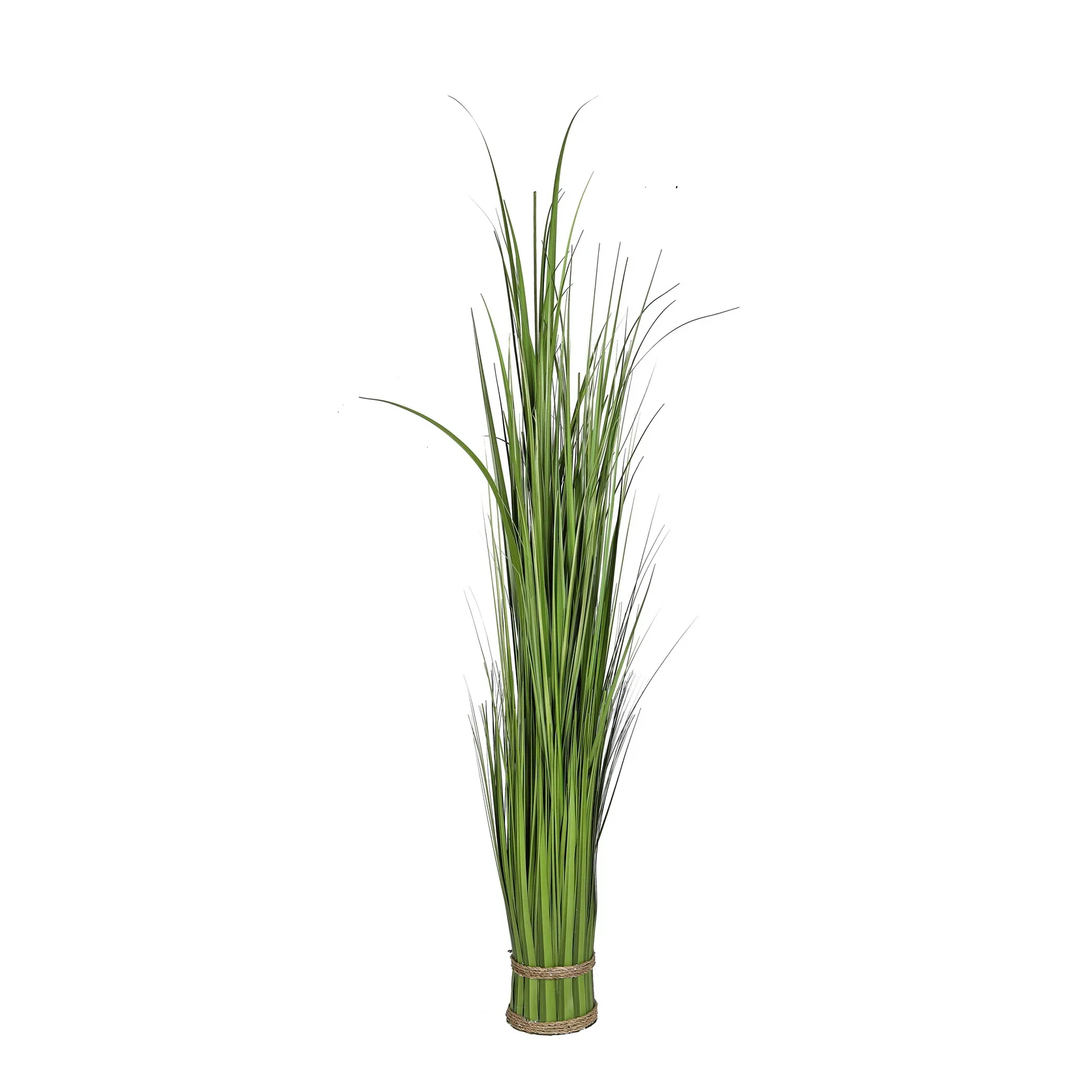 New Arrival Natural Green Tall Long Grass Onion Grass For Garden