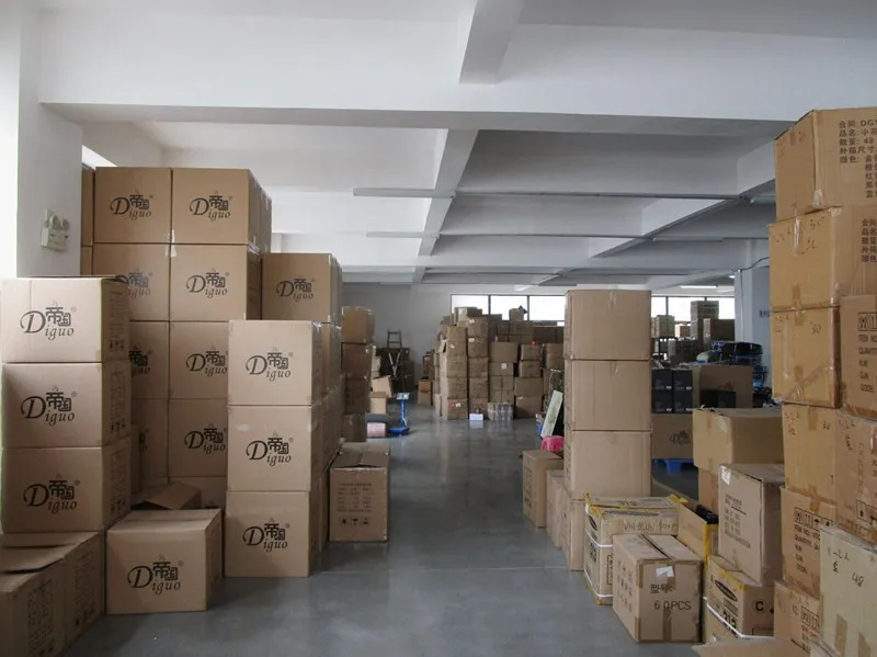 Diguo 700ml 24oz Black Color Electric Variable Temperature Setting