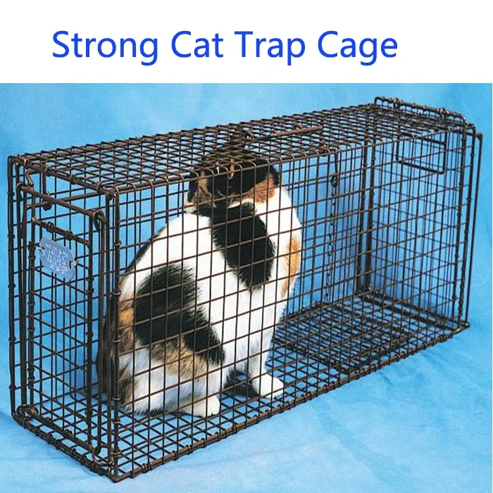 Strong Humane Catch Wire Mesh Cat Traps Cage for TNR on Sales