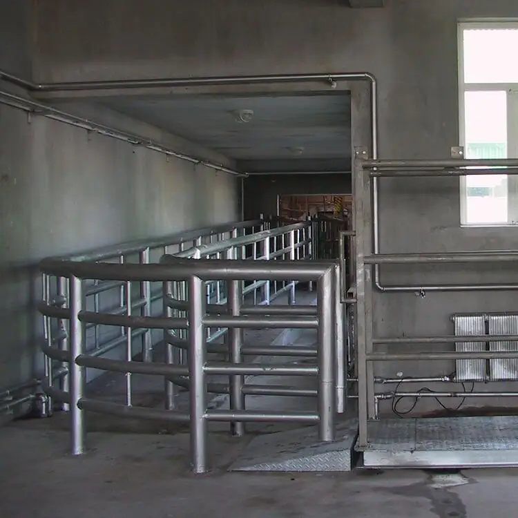 Cattle hot-dip galvanized pen slaughterhouse