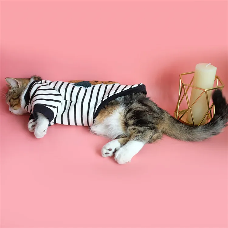 abbigliamento alibaba