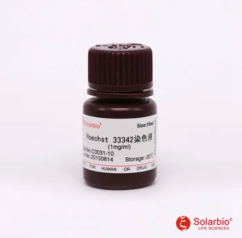 専用3 HLB1ERzPTXzqK1RjSZFC762bxVXaZ.