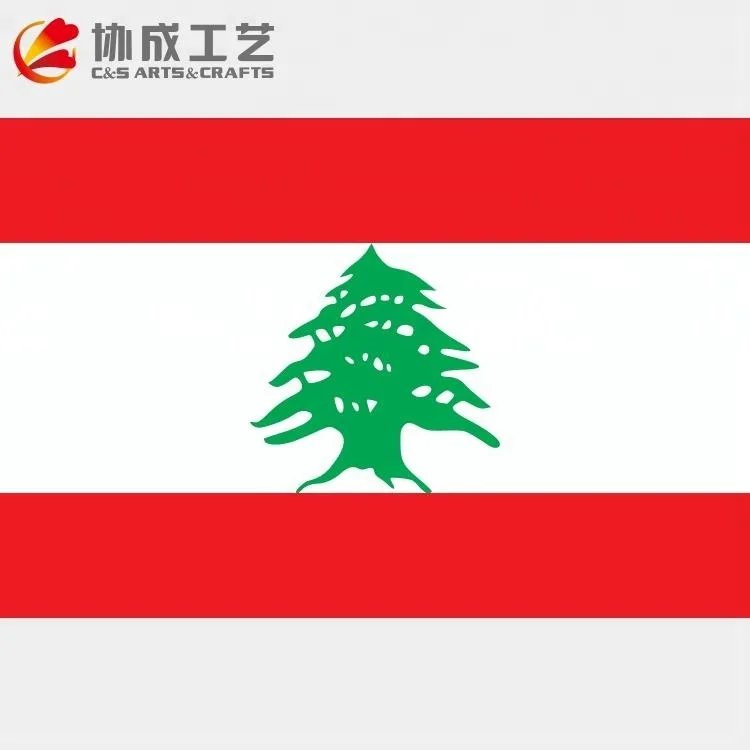 Горячая распродажа высокое качество продвижение пользовательские Палестина все страны флаг