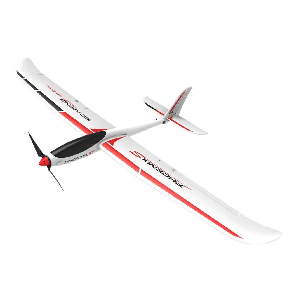 big rc glider