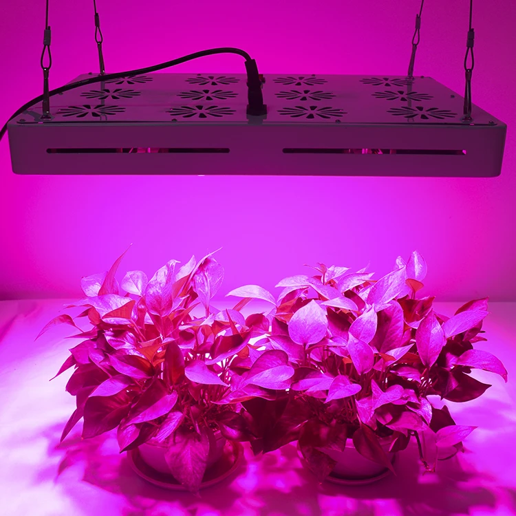 Professional Horticulture Indoor Plants Hydroponic 600W LED Grow Light