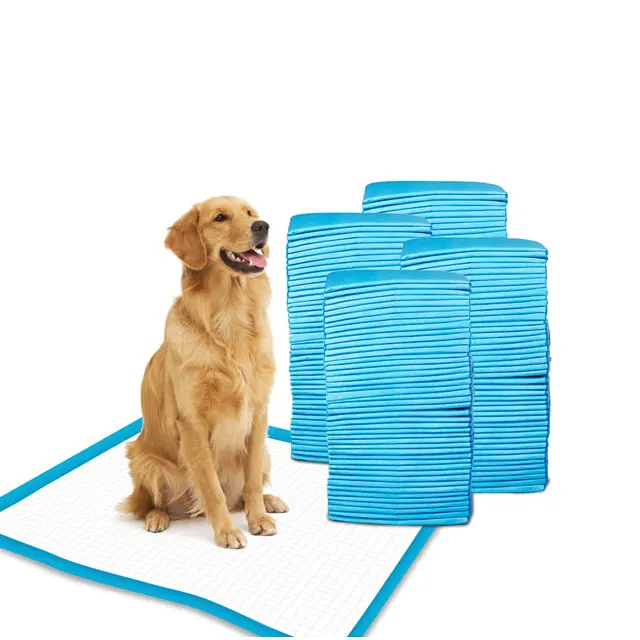 doggy training pads