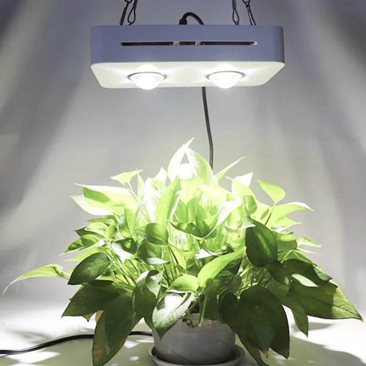 Indoor Greenhouse High Efficiency 100W Full Spectrum LED Plant Grow Light