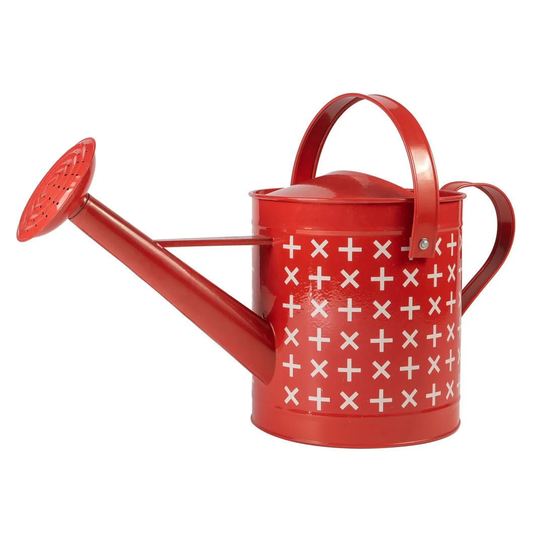 Сад украшенный оцинкованная сталь в винтажном стиле порошок coatedn цветочный горшок дешевый растения металлического Лейка