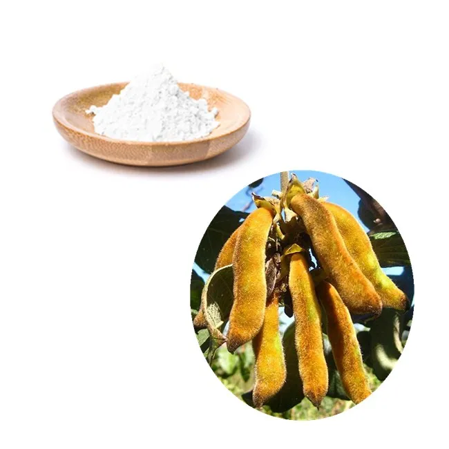 ZD L-Dopa порошок 99% хорошо для экстракта Паркинсона мукуны пруристой