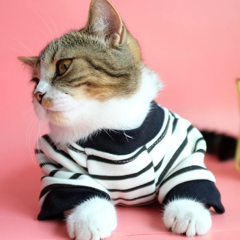 . Esquivar Hermano Source Los fabricantes directos de encargo barato ropa para mascotas gato  prendas de vestir lindo gato trajes para gatos on m.alibaba.com