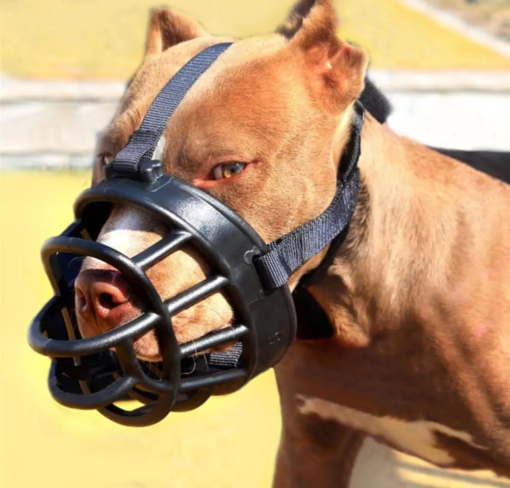 custom pitbull muzzles
