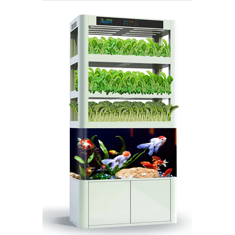 home intelligent hydroponic system microgreens lettuce seeds vertical with fish tank buy intelligent control hydroponic growing systems with fish