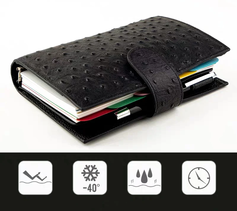 Profesional OEM factory high printed custom office stationery plastic file box document case
