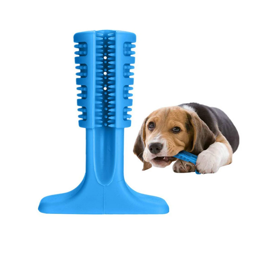 dog chew brush teeth