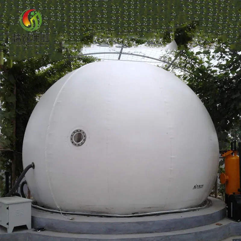 
Китайский высококачественный пакет для хранения биогаза на продажу 