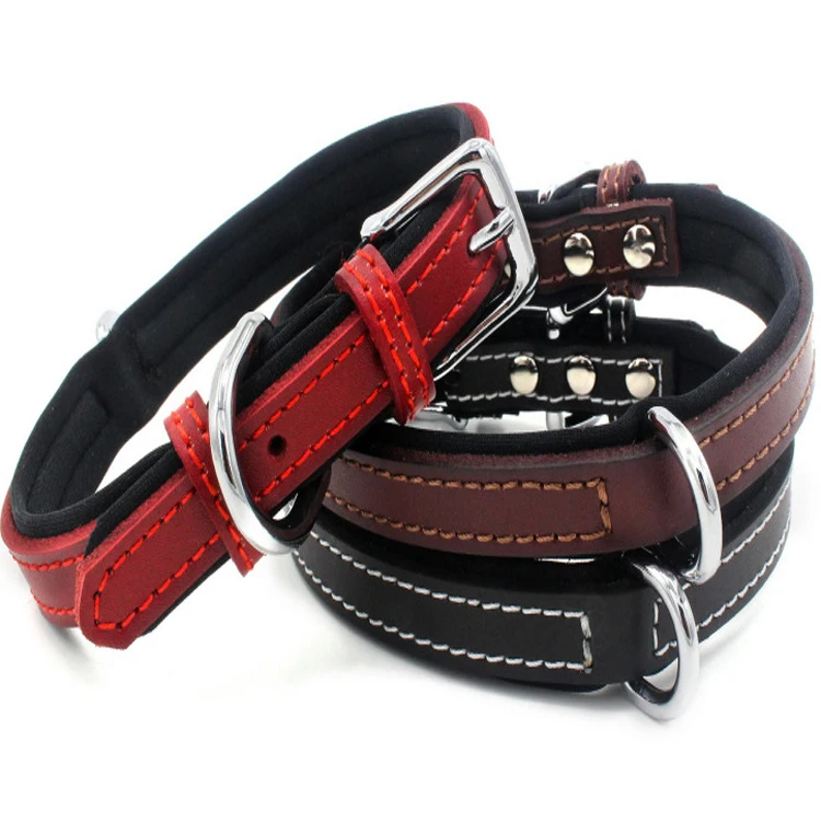 custom waterproof dog collars