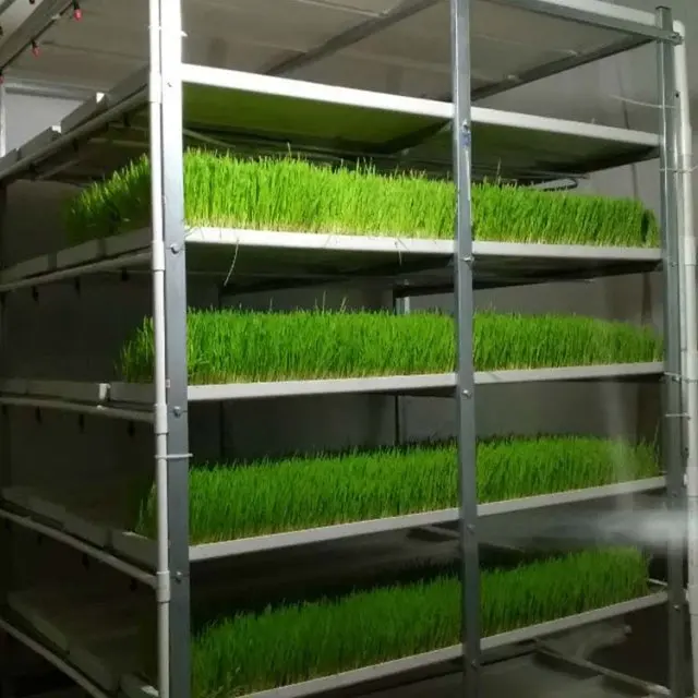 Установка Гидропонная 4 5 Ярусов Купить