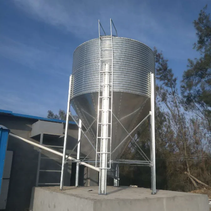 Fully Automatic Poultry Farm Chicken Feeder and Drinking System Chicken House Shed Equipment