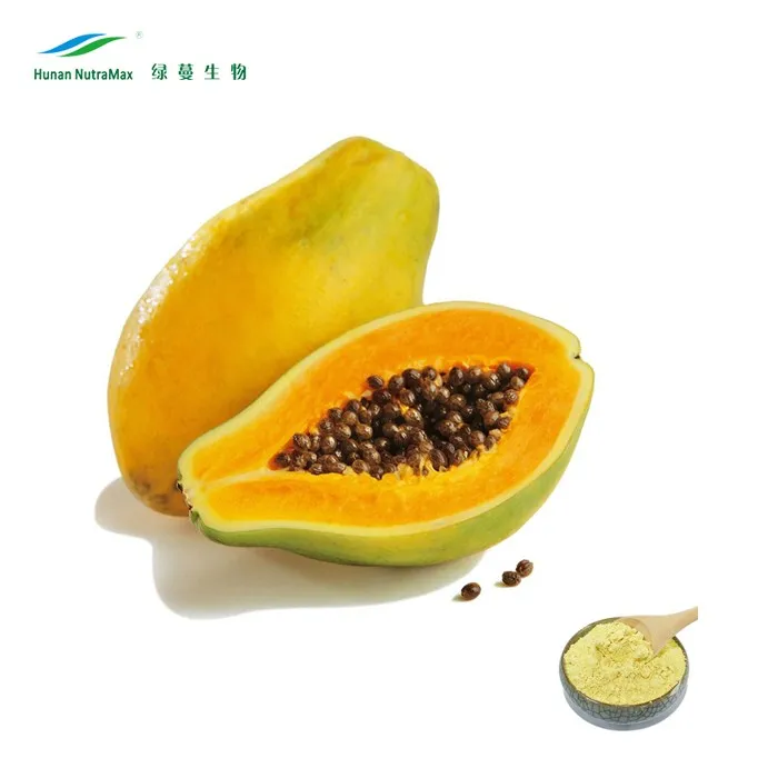 Papaya Seed Fruit Extract Powder With Papain Buy Papaya Seed Extract