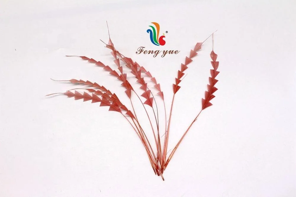 Полосатый петушиный чехол с перьями