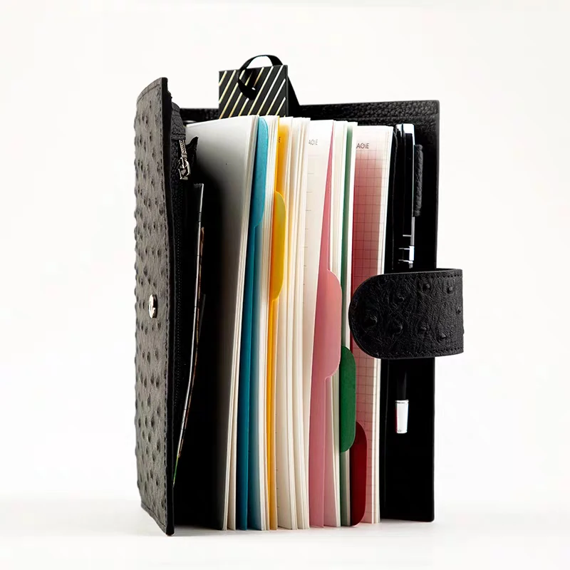 Profesional OEM factory high printed custom office stationery plastic file box document case