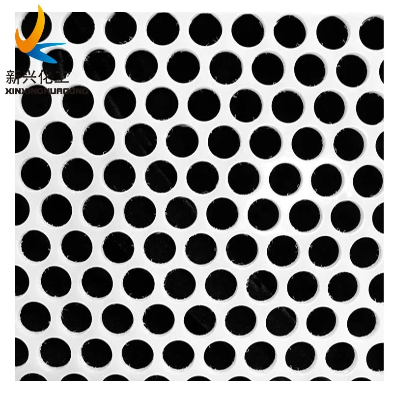Economic Perforated Sheet in PP PVC and HDPE Plastic Sheet