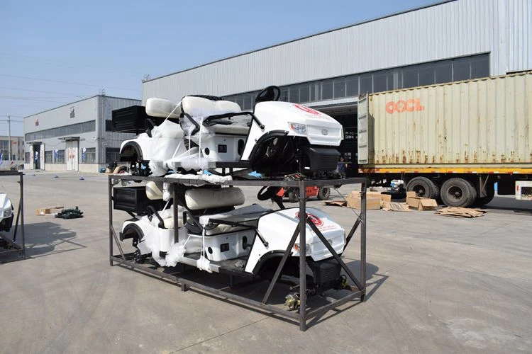 Professional scenery mini electric sightseeing car with fire extinguisher from China supplier