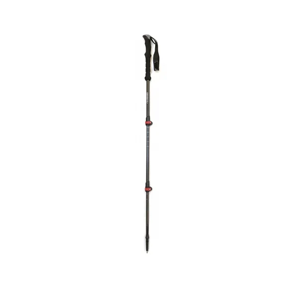 cheap hiking sticks