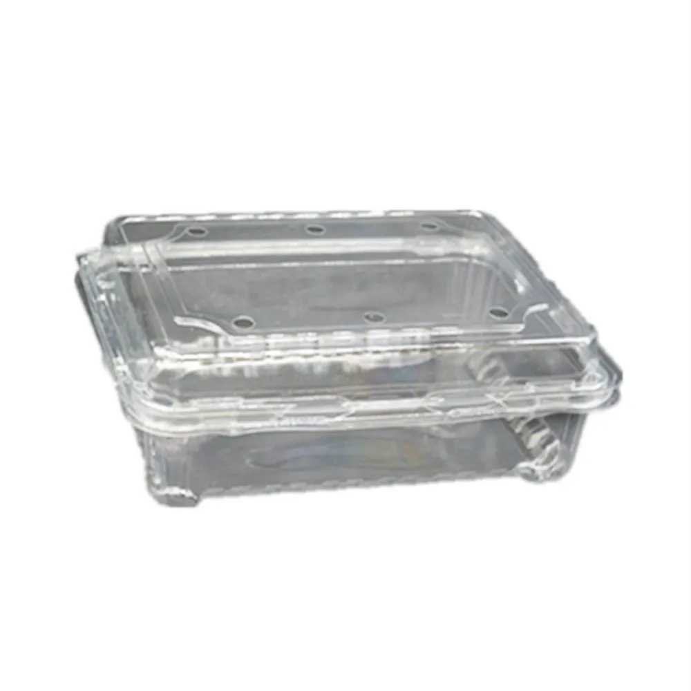 
250 г прозрачный ПЭТ пластиковый пищевой контейнер с крышкой/пластиковая раскладушка упаковка для фруктов 