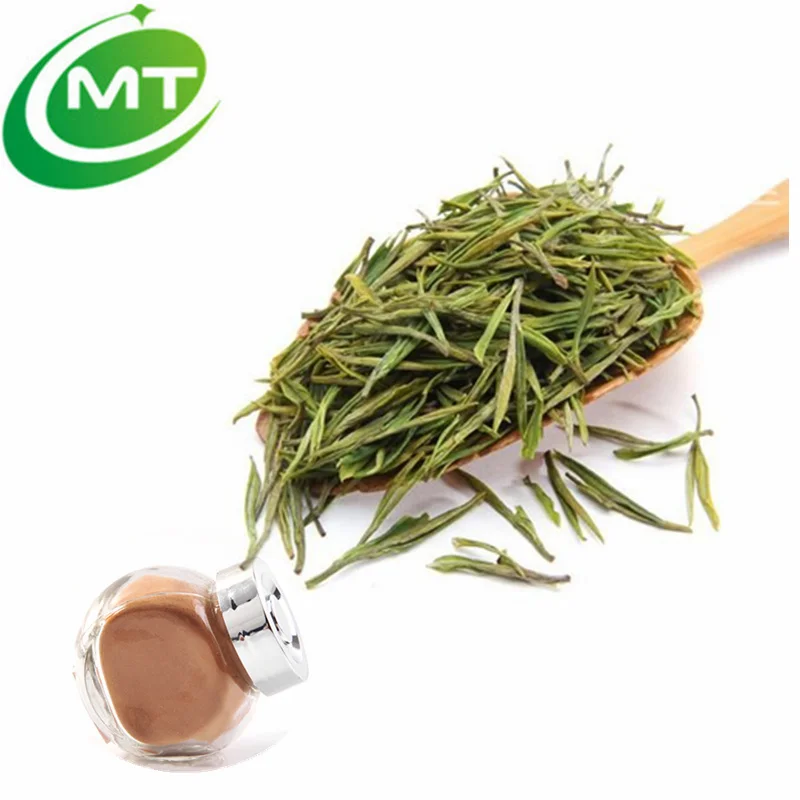 Organic White Tea Powder Camellia Sinensis Leaf Extract White Tea Extract Buy White Tea Extract White Tea Powder White Tea Product On Alibaba Com