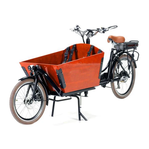Electric Cargo Bicycle 
