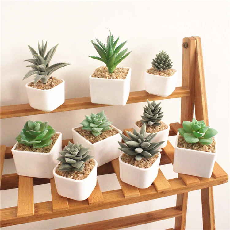 Mini Desk Plant Faux Succulents Potted With White Plastic Base For Home  Office Decoration - Buy Desk Plant,Succulent Plants,Office Decoration  Product on 