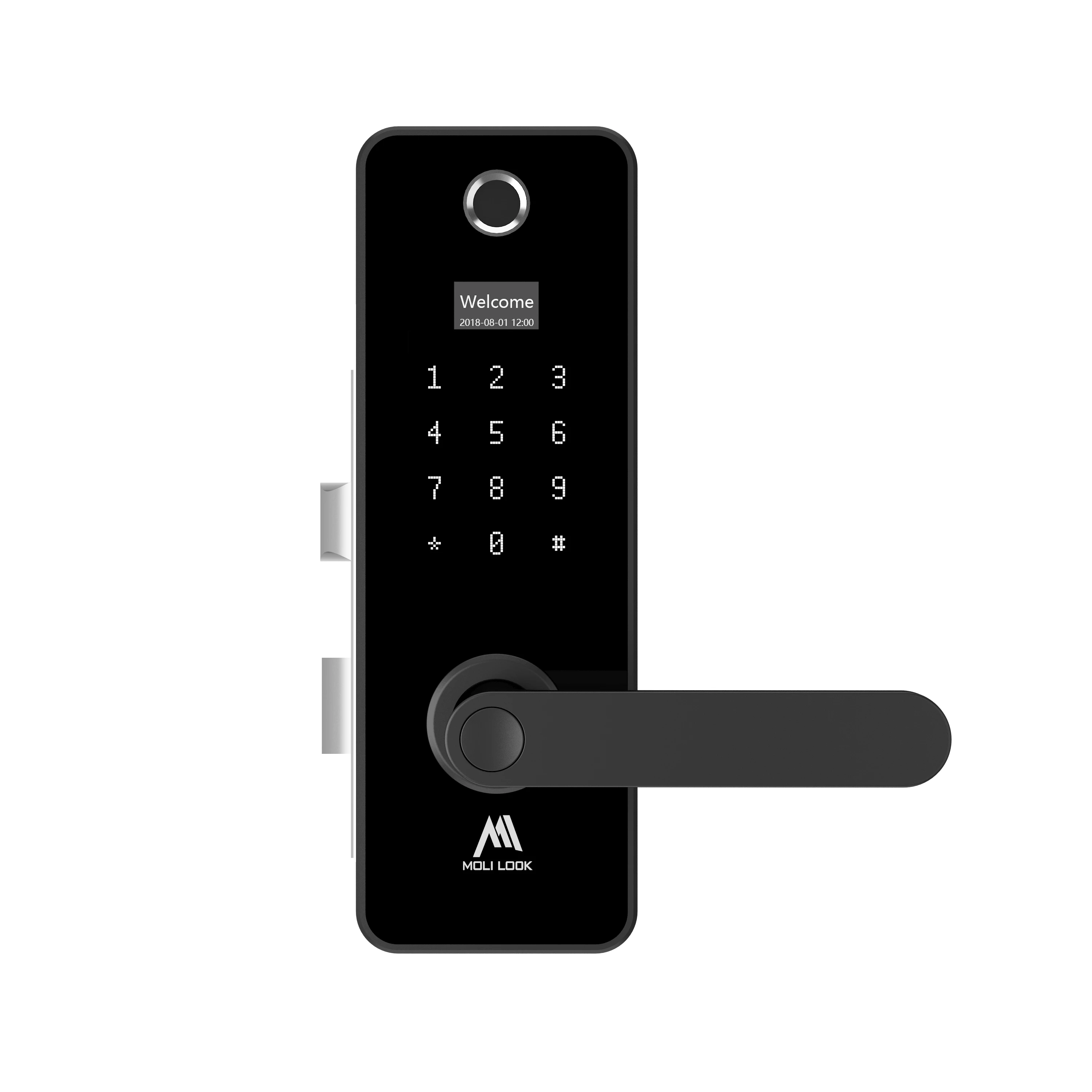 Электронный замок на входную. MOLILOCK u761. Smart Lock замок для двери. Лабораторная дверь электронный замок. Smart Digital Door Lock.