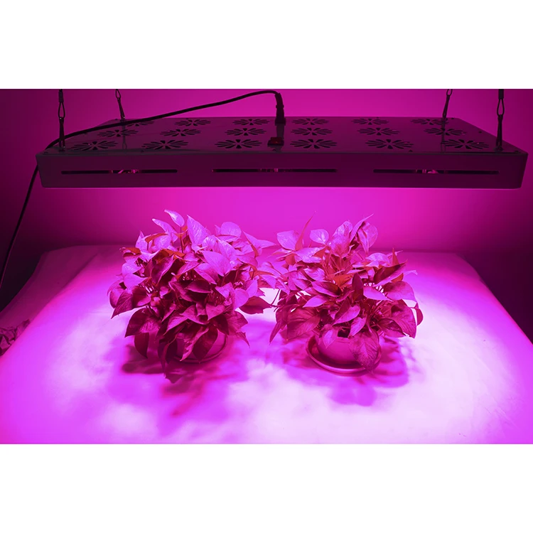 
Indoor Wall Mounted High Power 900W Microgreens LED Grow Light 