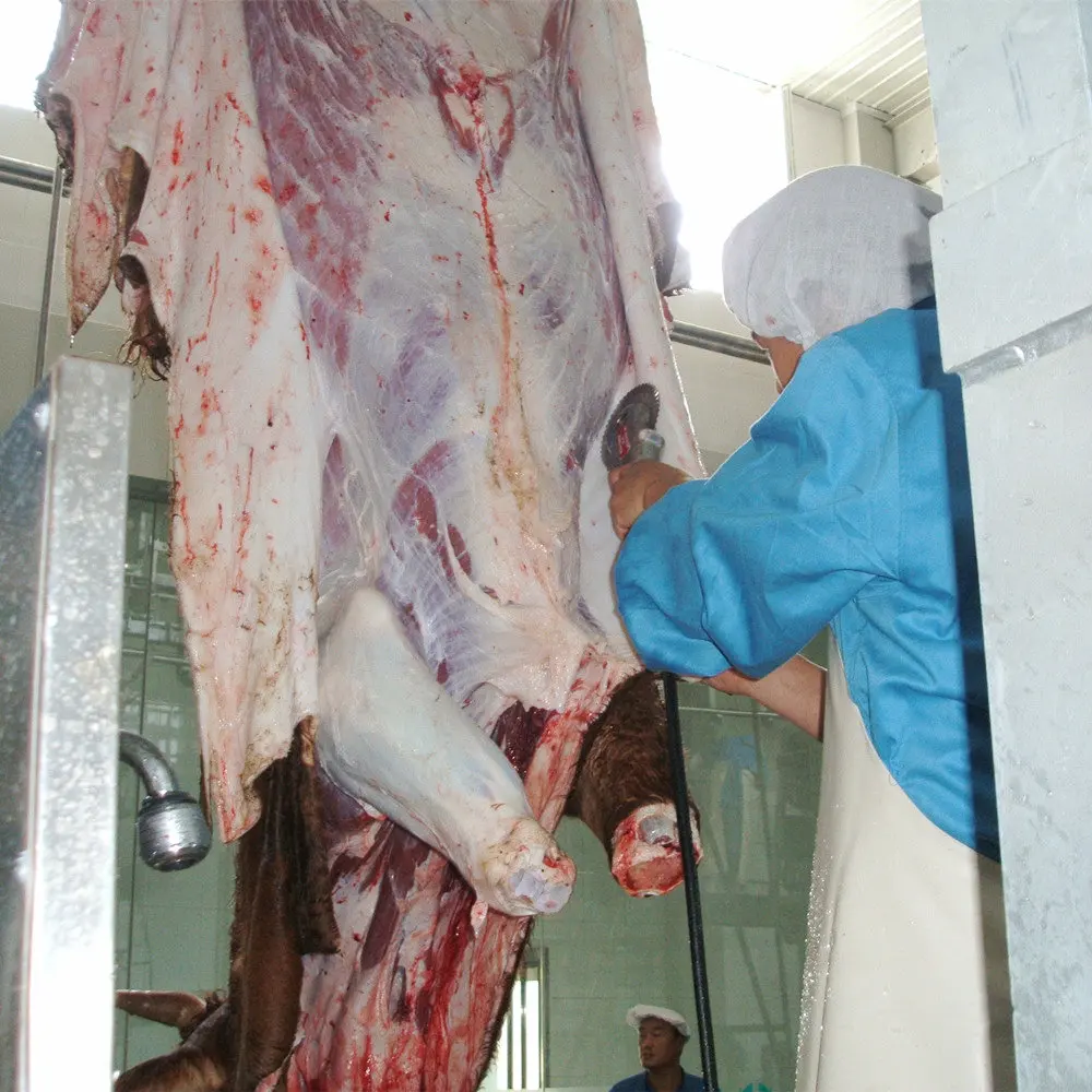 Islamic buffalo meat cutting machine for cattle slaughtering slaughterhouse