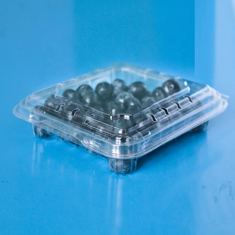 Food Grade Plastic Blueberry Packaging Box - Clear Clamshell