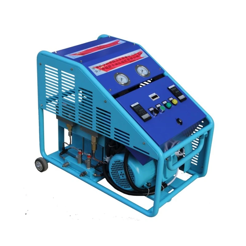 High Quality 15Mpa Psa Oxygen Gas Booster Pump Oil-Free Piston Lifelong Maintenance Economical 12V Air Compressor OEM Pressure