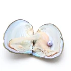 Party Surprise Gift 6-8mm AAA+ Cultured Fresh Water Mussel Oval Rice Pearls Oyster Shell