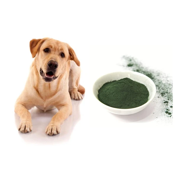 how much spirulina should i give my dog