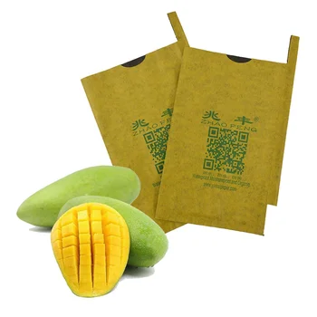 Laiyang Yintong yintong mango growing paper bag mango protective paper bag