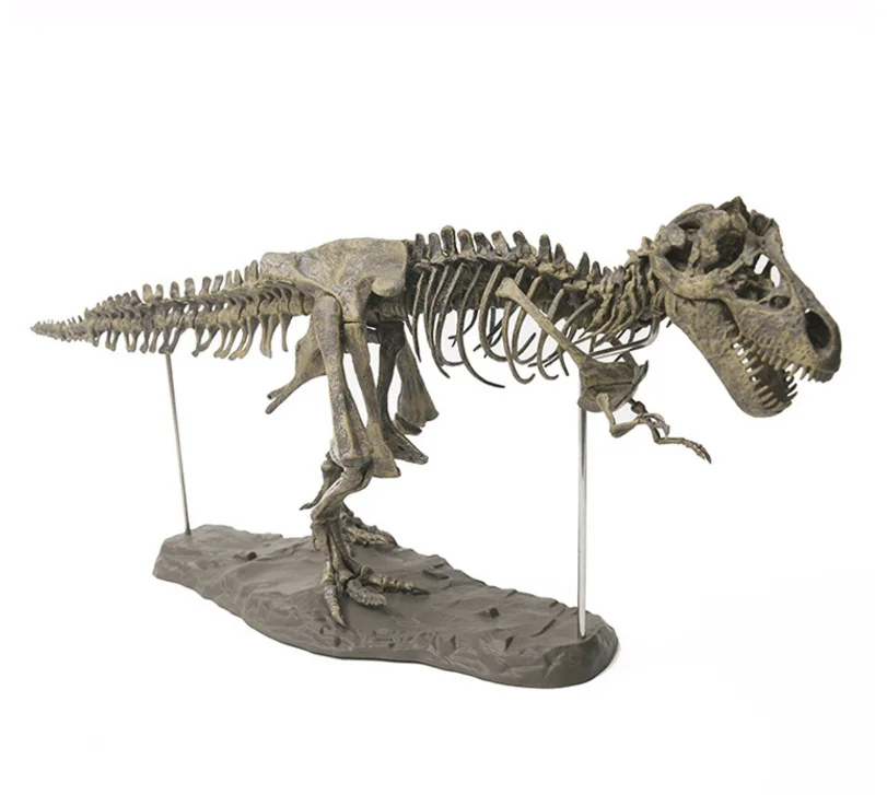 恐龙骨架化石玩具暴龙雷克斯动物模型为儿童 pvc 动作人物玩具经典